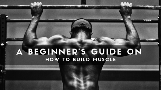 how to build muscle